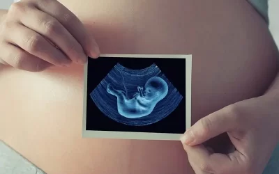 اهمیت سونوگرافی های دوران بارداری، سونوگرافی های مهم در بارداری