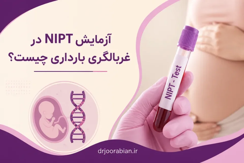 نمای توضیحی درباره آزمایش NIPT در غربالگری بارداری چیست